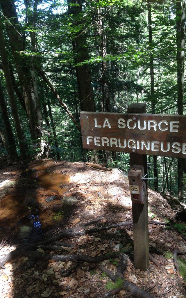 Course D'orientation Source Ferrugineuse