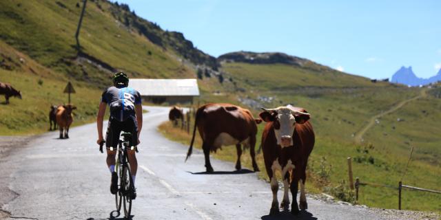 Cyclo Oisans Col Series Cols De La Croix De Fer Glandon (1)