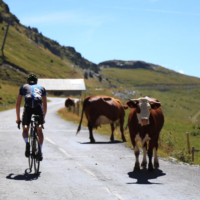 Cyclo Oisans Col Series Cols De La Croix De Fer Glandon (1)