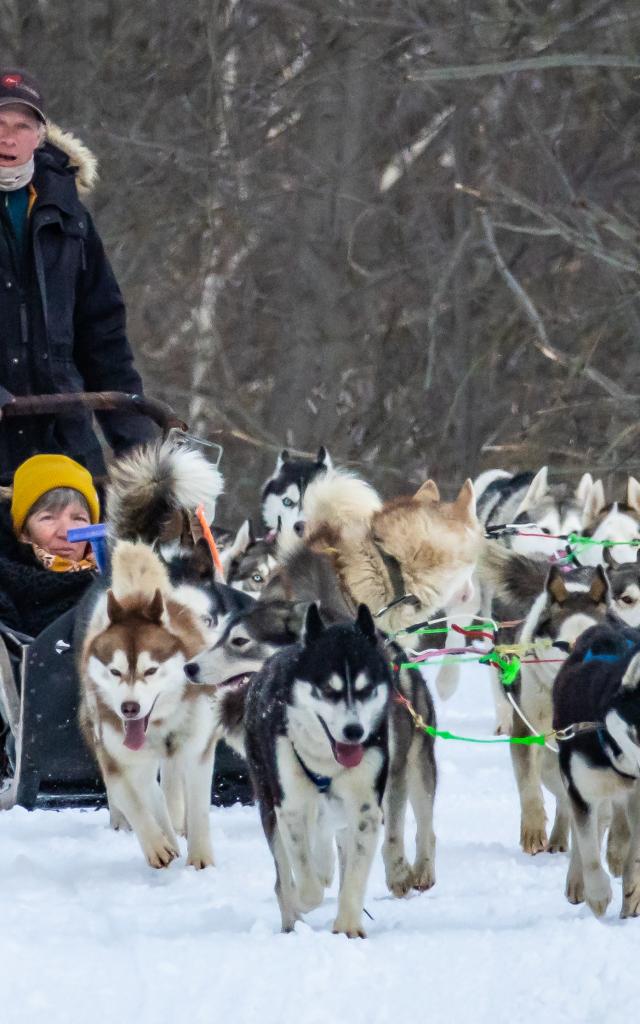 Chiens De Traîneaux 2020@images&rêves (16)