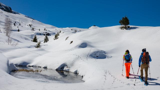 En raquettes sur le plateau de l'Alpette