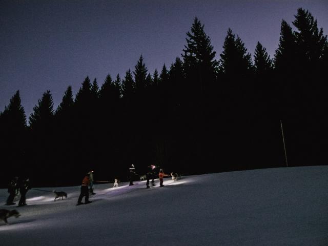 Soirée trappeur avec chiens de traîneaux